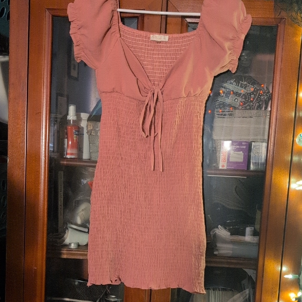 Blush Pink Smocked mini dress with Ruffle Sleeves